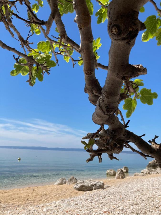 Stara Baška Kuca Za Odmor Bayaヴィラ エクステリア 写真